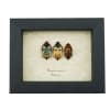 Hemiptera Set Man Face Beetles Real Framed True Bug Taxidermy Display