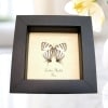 Delicate Tailed Butterfly Laothus phydela Framed Taxidermy Display