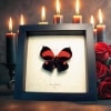 Anaea marthesia Red Heart Butterfly Real Framed Taxidermy Display