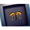 Callicore pastazza Verso Framed Orange Butterfly Moonlight Display