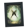 White Dragontail Butterfly Fairy Forest Lamproptera curius Framed Taxidermy Display