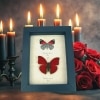 Red Heart 88 Butterfly Set Real Framed Butterflies