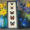 Purple Orange Butterfly Collection Real Framed Butterflies Taxidermy Display