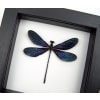 Framed Damselfly Aurora Borealis Purple Damselfly Classic Black Display