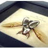 Silver Gold Bronze Scarab Flying Jewel Beetle Framed Chrysina chrysargyrea