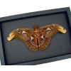 Resting Atlas Moth Attacus Atlas Male Large Real Framed Taxidermy Moonlight Display