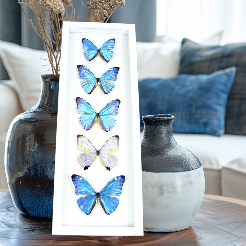 Diamond Morpho Butterfly Collection Framed Taxidermy Vibrant White Display Diamond Morpho Butterfly Collection Framed Taxidermy Vibrant White Display