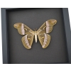 Samia luzonica Female XL Moth Pink Silk Moth Framed Taxidermy Moonlight Display