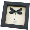 Real framed Damselfly Aurora Borealis Glittery Electric Green Taxidermy Display