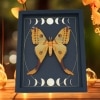 Real Comet Moth Moon Phase Argema mittrei Female Framed Taxidermy Display