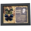 Charles Darwin Butterfly Pair Callithea philotima Asterope leprieuri Framed Taxidermy Butterflies