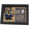 Charles Darwin Butterfly Pair Callithea philotima Asterope leprieuri Framed Taxidermy Butterflies