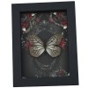 Calinaga buddha Real Butterfly Gothic Black Red Roses Framed Taxidermy Display