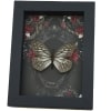 Calinaga buddha Real Butterfly Gothic Black Red Roses Framed Taxidermy Display