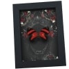 Blood Red Butterfly Gothic Black Roses Catagramma cynosura Real Framed Taxidermy Display
