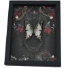 Gothic White Zebra Swallowtail Butterfly Black Roses Eurytides Protesilaus Real Framed Taxidermy Display