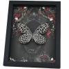 Gothic White Butterfly Black Roses Idea hypermnestra Real Framed Taxidermy Display