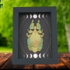 Real Green Leaf Insect Gothic Moon Phases Phyllium Pulchrifolium Female Framed Taxidermy