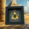 Real Sacred Egyptian King Scarab Beetle Pyramid Real Framed Green Scarabaeus aegyptiorum