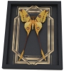 Real Framed Comet Moth Golden borders Argema Mittrei Male Taxidermy Display