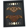 Real Atlas Moth Pair Gothic Moon Phases Attacus Atlas Moth Set Framed Taxidermy