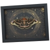 Real Moth Hyalophora cecropia Female Resting Gothic Steampunk Framed Taxidermy Display