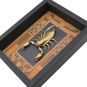 Real Scorpion Egyptian Decor Heterometrus cyaneus Framed Scorpion Taxidermy Display