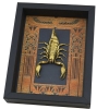 Real Scorpion Egyptian Decor Heterometrus cyaneus Framed Scorpion Taxidermy Display