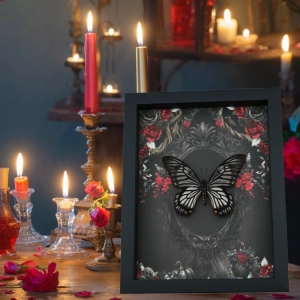 Gothic Skull Butterfly Black Roses Chilasa veiovis Real Framed Taxidermy