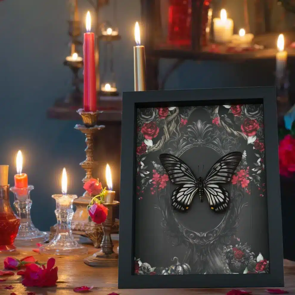 Gothic Skull Butterfly Black Roses Chilasa veiovis Real Framed Taxidermy Gothic Skull Butterfly Black Roses Chilasa veiovis Real Framed Taxidermy