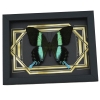 Real Peacock Swallowtail Butterfly Golden Borders Papilio Blumei Framed Taxidermy Display