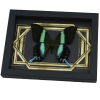 Real Peacock Swallowtail Butterfly Golden Borders Papilio Blumei Framed Taxidermy Display