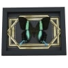 Real Peacock Swallowtail Butterfly Golden Borders Papilio Blumei Framed Taxidermy Display