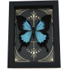 Real Papilio ulysses Butterfly Celestial Gold Foil Moon Phases Framed Taxidermy