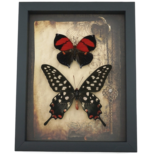 Real Red Heart Butterfly Set Gothic Old World Lock Key Real Framed Taxidermy Display