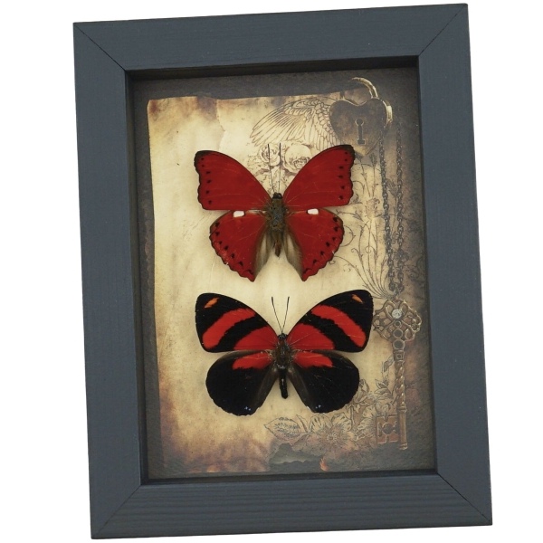 Real Red Heart Butterfly Set Gothic Old World Lock Key Framed Taxidermy
