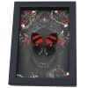 Gothic Red Heart Butterfly Black Roses Siderone galanthis Real Framed Taxidermy Display