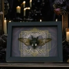 Gothic Black Heart Cicada Cryptotympana acuta Framed Insect Taxidermy Display