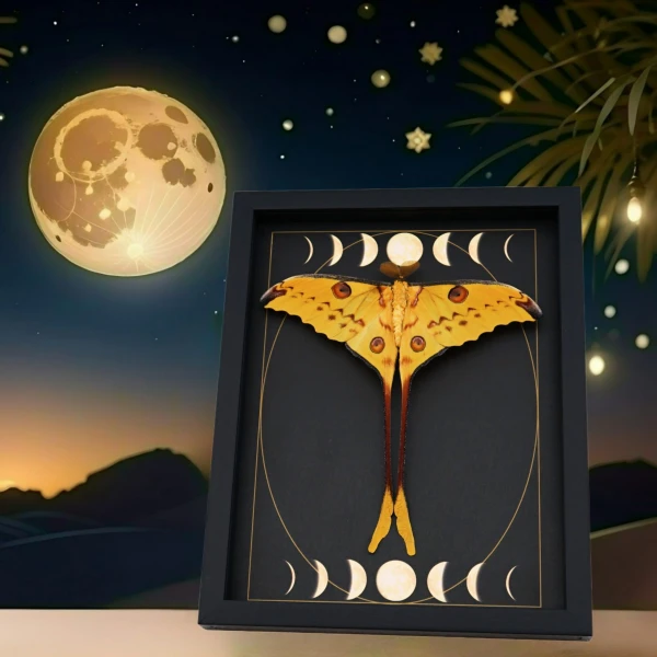 designer Displays Gothic Moon Phases, Gold foil, unique Art Deco, Celestial Designs and more
