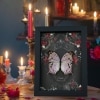 Gothic Mother of Pearl Butterfly Black Roses Salamis parhassus Real Framed Taxidermy Display