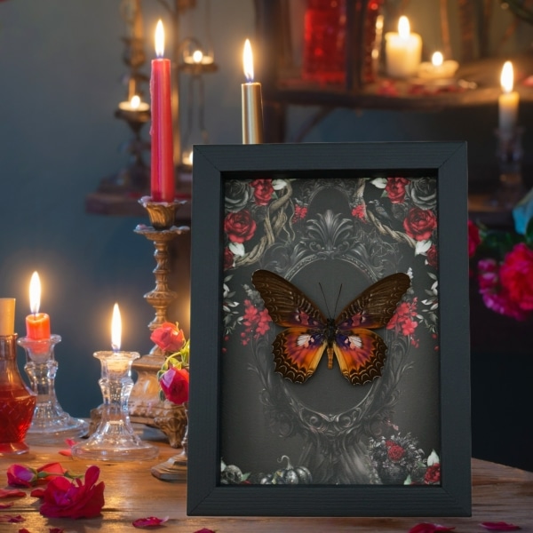 Seasonal Displays Framed butterflies and insects by season from all styles, types and themes