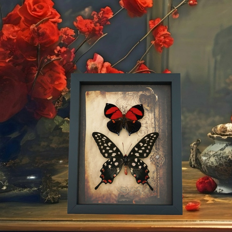 Real Red Heart Butterfly Set Gothic Old World Lock Key Real Framed Taxidermy Display Real Red Heart Butterfly Set Gothic Old World Lock Key Real Framed Taxidermy Display