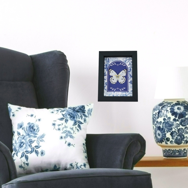 Calypso White Butterfly Blue Chintz Belenois calypso Verso Framed Taxidermy Display