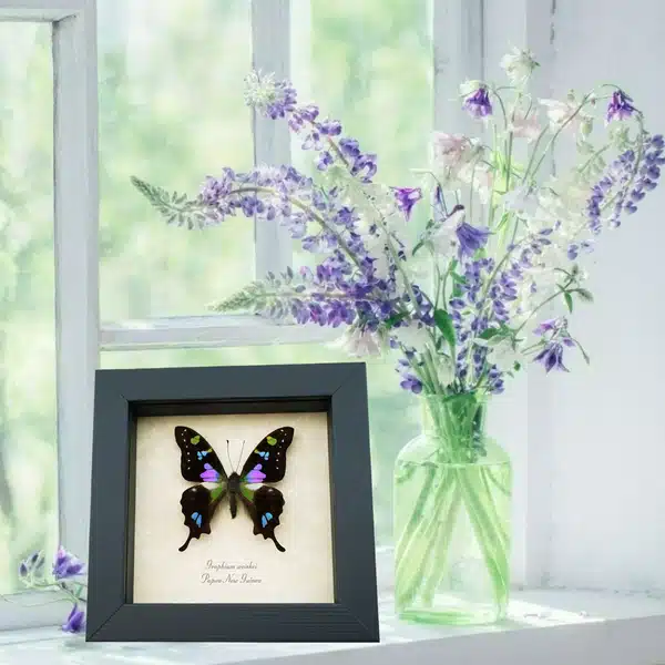 Mothers Day Butterflies Unique Gifts for Mom Mothers day gifts framed butterflies butterfly designs USA