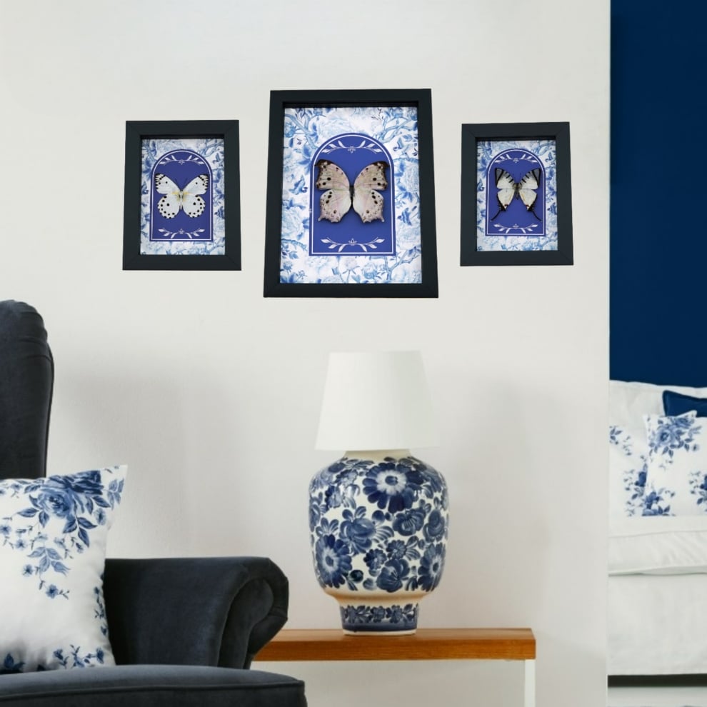 Set of 3 Real White Butterflies Floral Blue Chintz Framed Butterfly Taxidermy Display Set of 3 Real White Butterflies Floral Blue Chintz Framed Butterfly Taxidermy Display