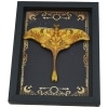 Real Indonesian Moon Moth Gothic Night Sky Stars Actias groenendaeli Framed Taxidermy Display