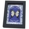 White Swallowtail Butterfly Blue Chintz Graphium agetes Framed Taxidermy Display