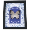 Mother Of Pearl Butterfly Blue Chintz Salamis parhassus Framed Taxidermy Display