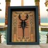 Real Scorpion Framed Taxidermy Display Egyptian Decor Heterometrus cyaneus