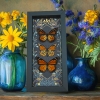 Framed Monarch Butterflies Gothic Ravens Danaus Plexippus Butterfly Trio Taxidermy Display